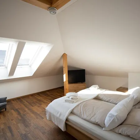 Hochwertiges / 120m² / Dachterrasse / Parking Appartamento Dresda